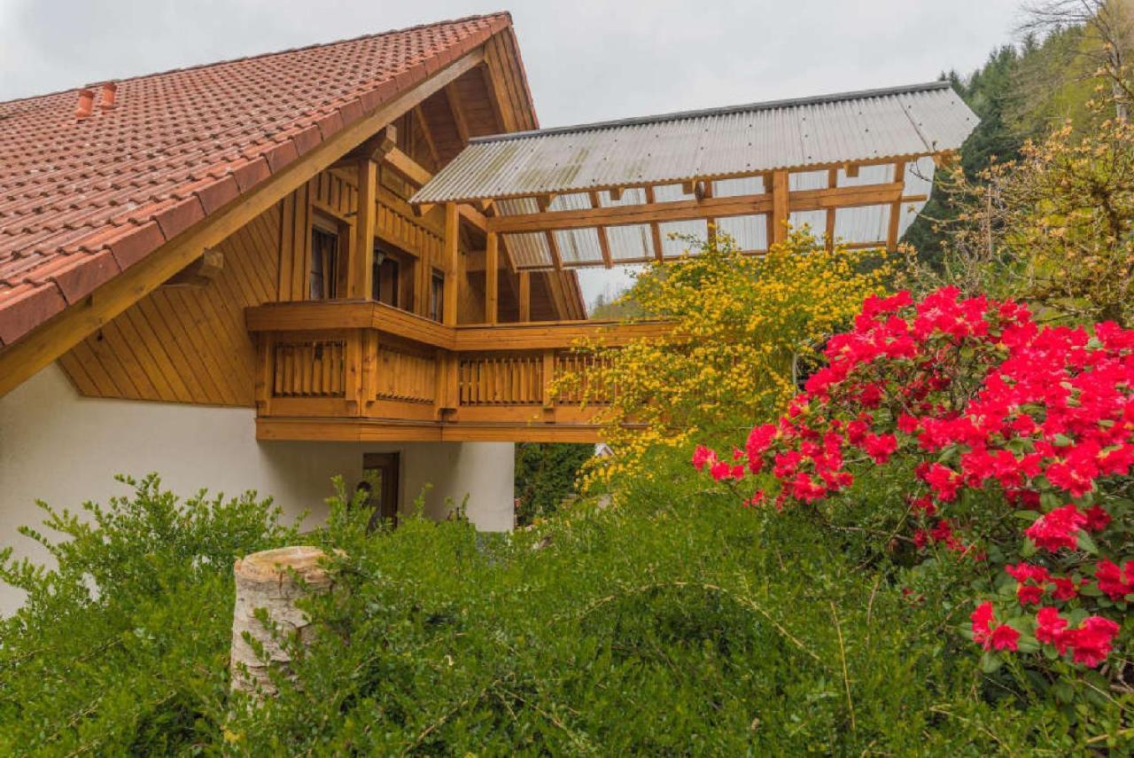 Ferienwohnung Haus Sigmund Oberharmersbach Exterior foto